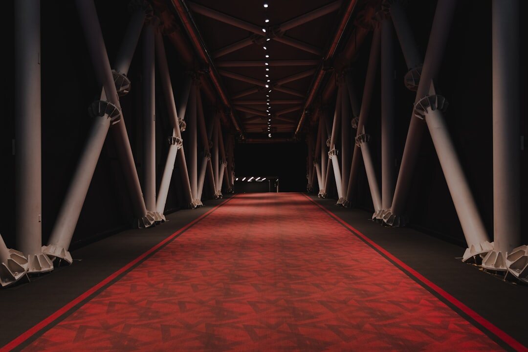 celebrity event red carpet